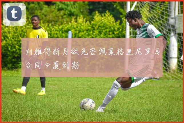 利雅得新月欲免签佩莱格里尼罗马合同今夏到期