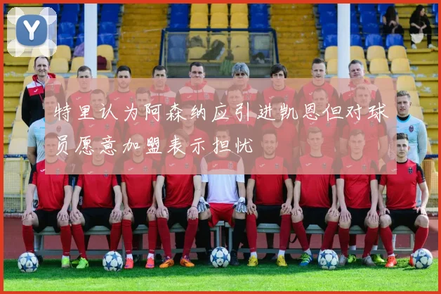 特里认为阿森纳应引进凯恩但对球员愿意加盟表示担忧